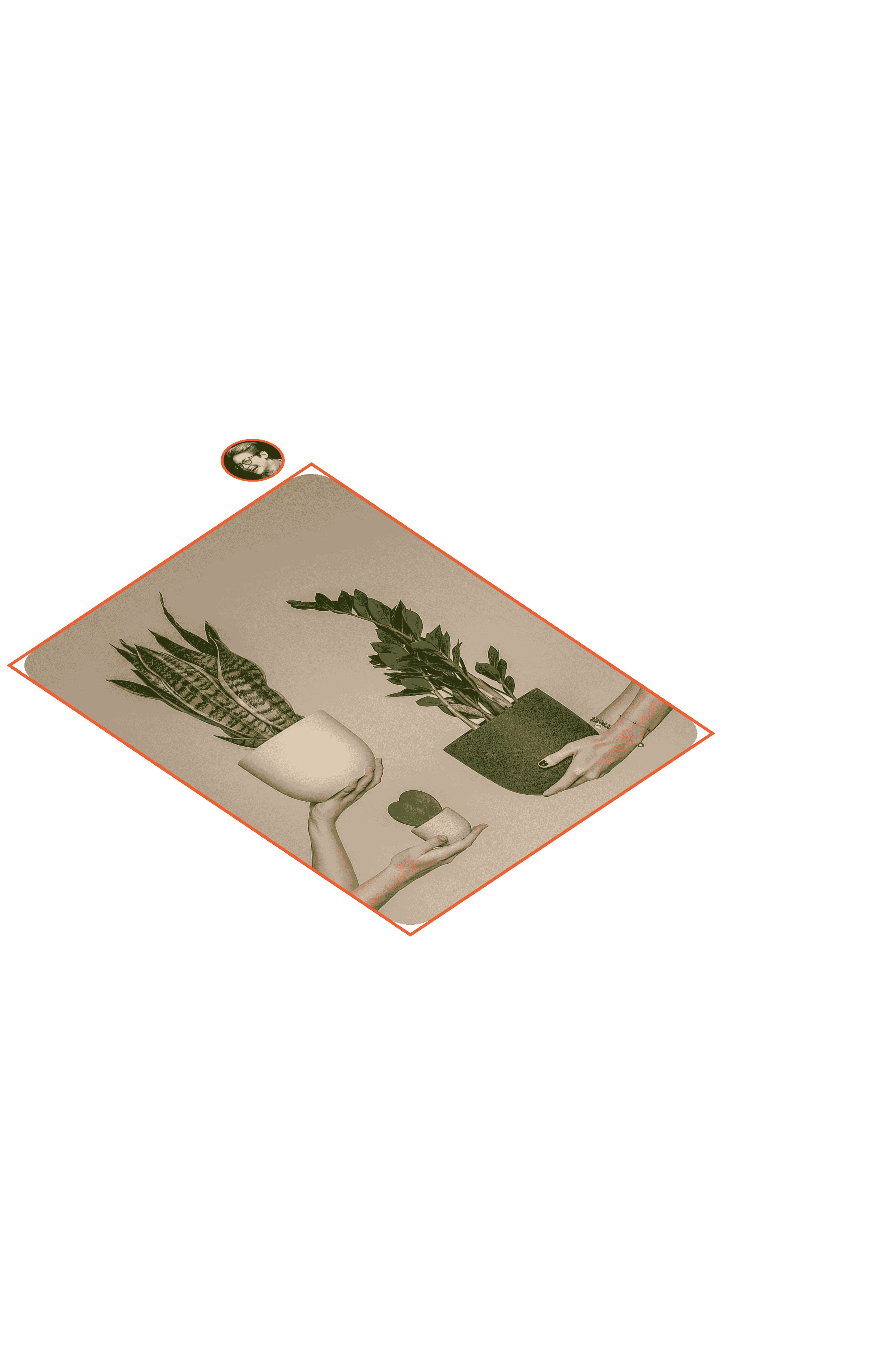 Image selected by user