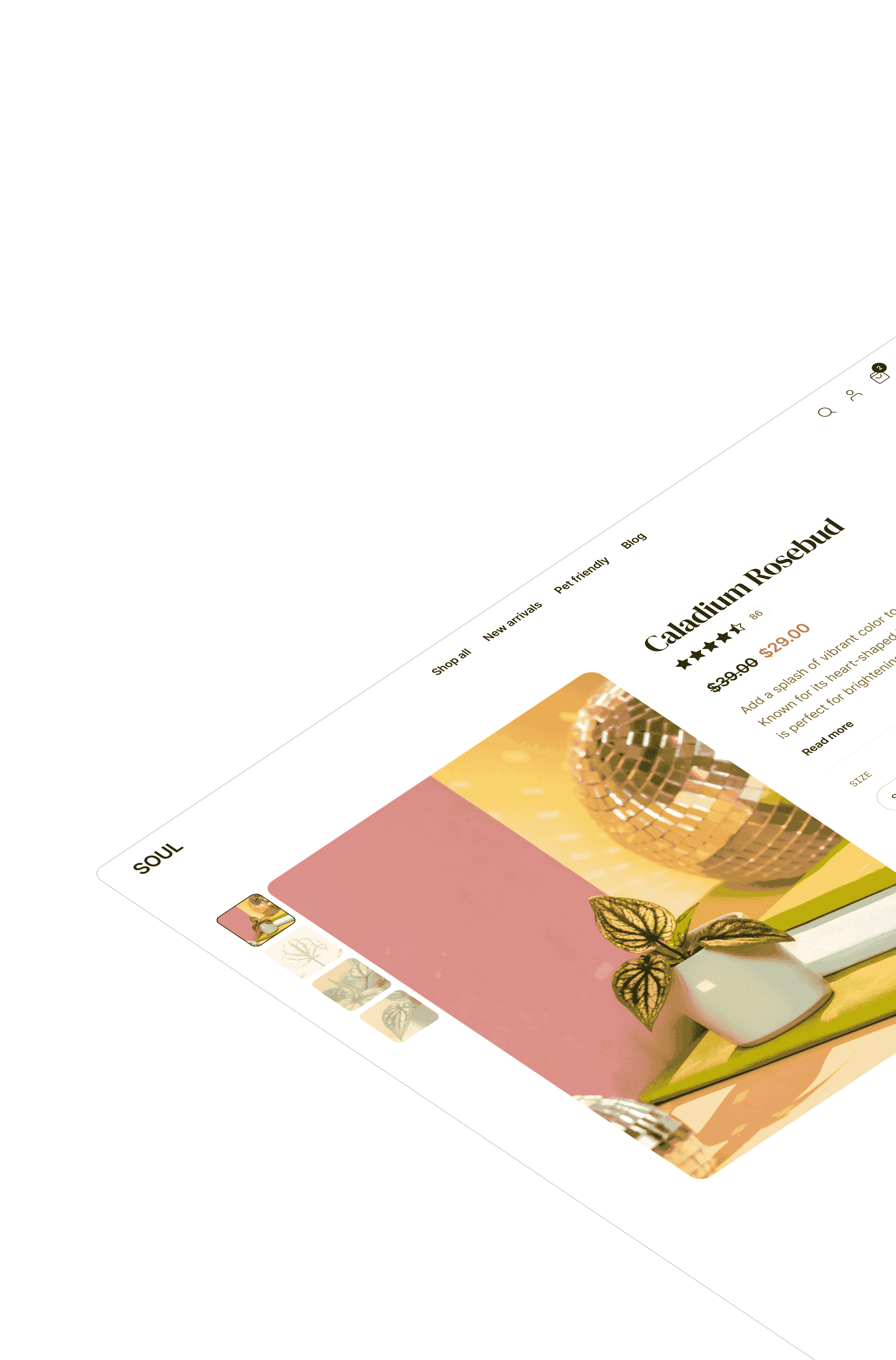 Product page for an online plant store