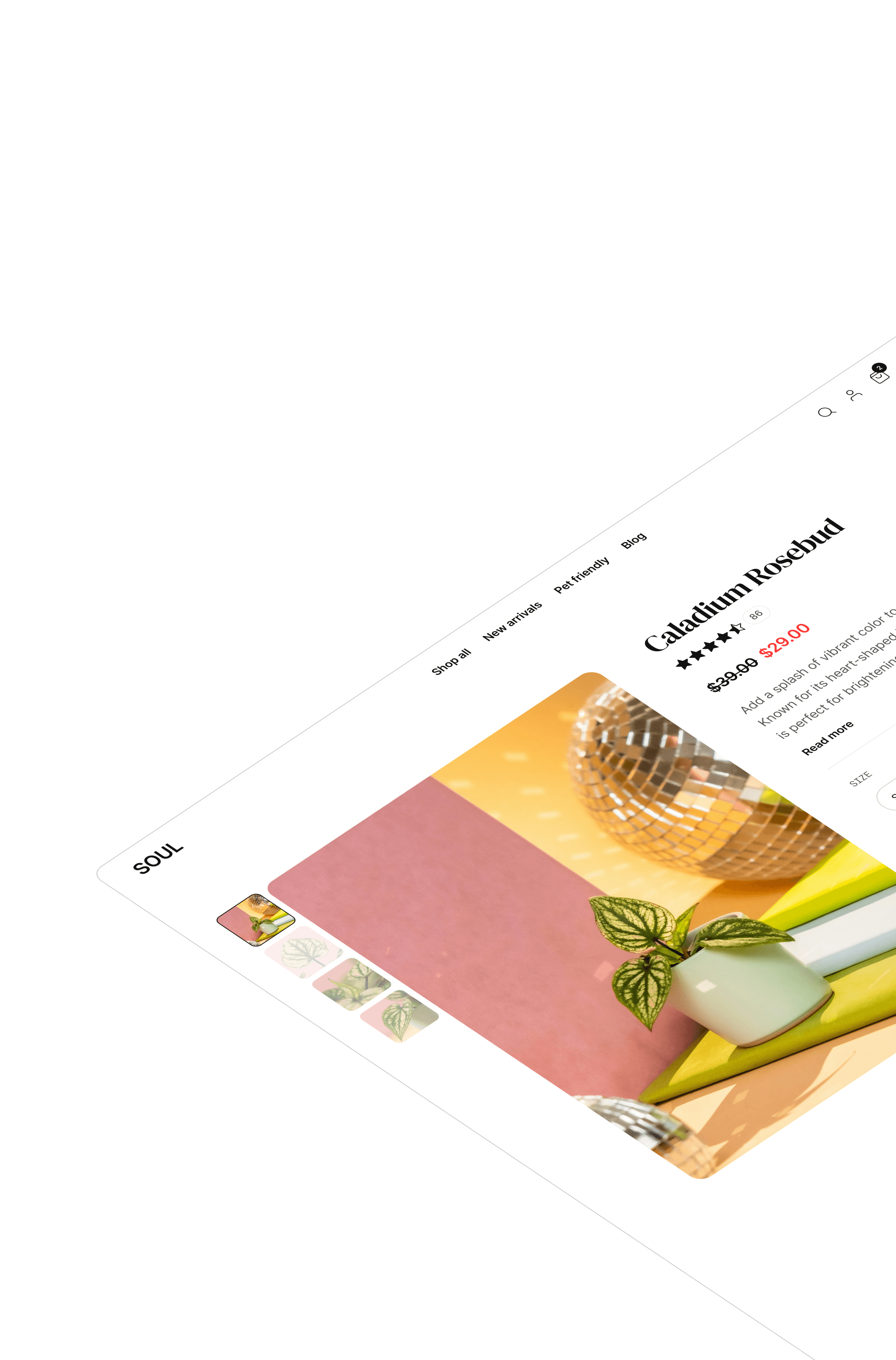 Product page for an online plant store