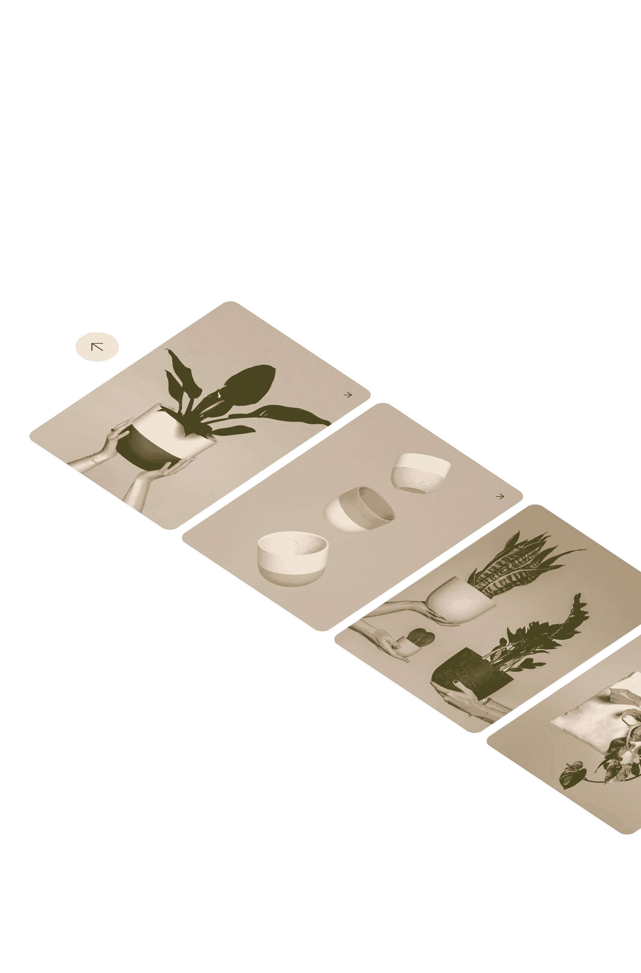 Image carousel of plant products