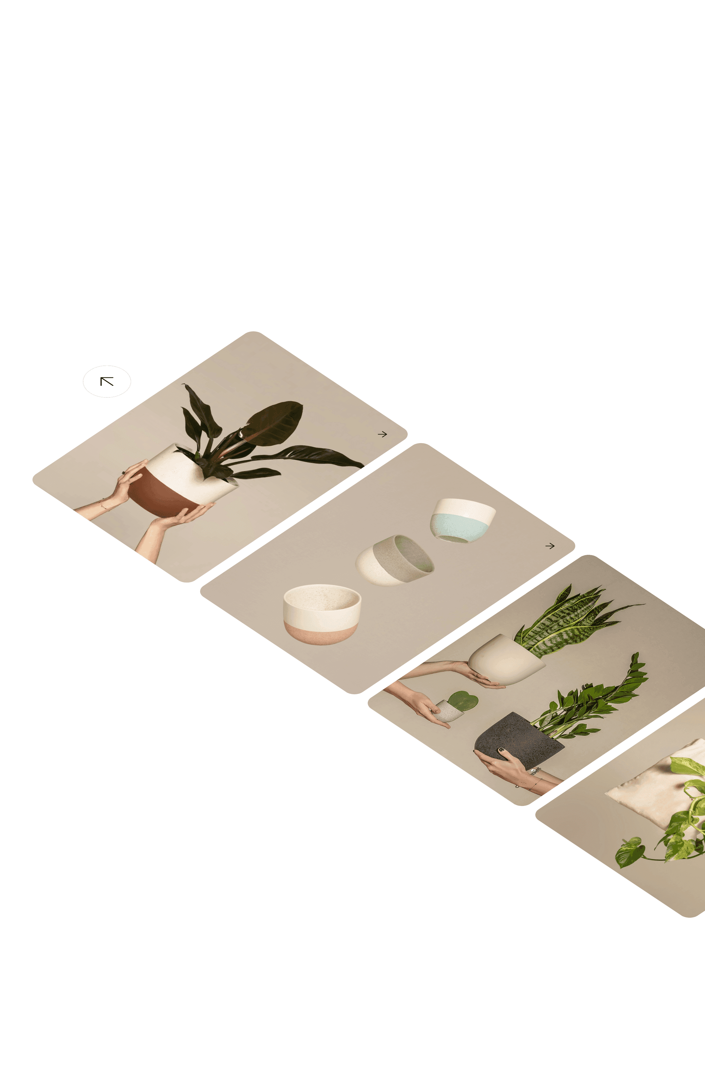 Image carousel of plant products