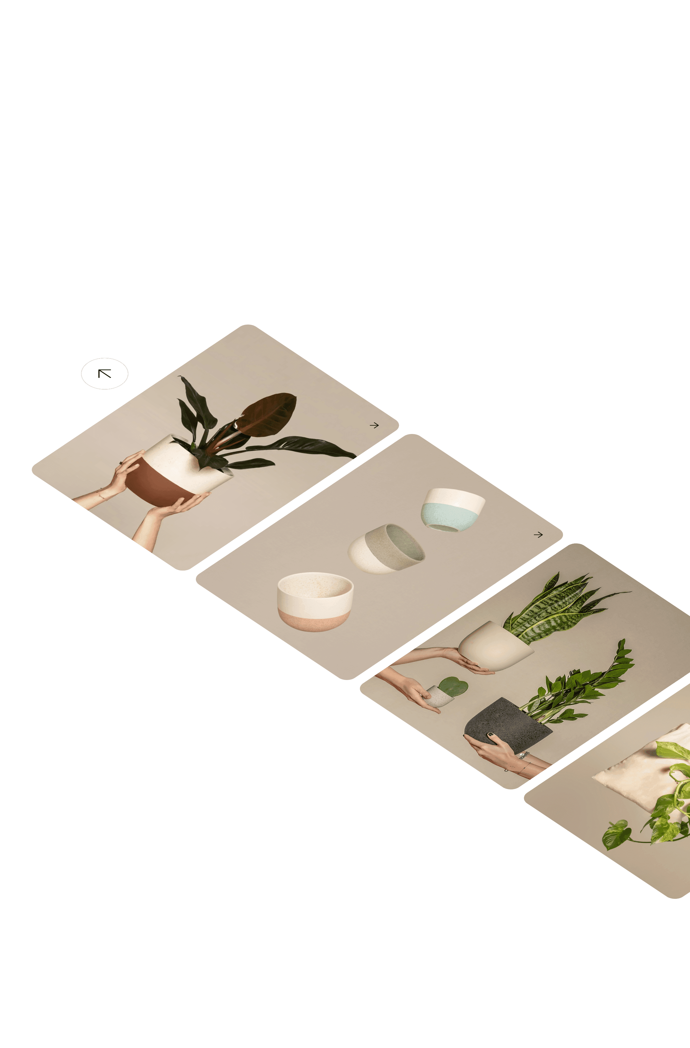 Image carousel of plant products